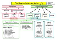 Bestandteile der Nahrung