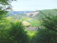 Blick von der &raquo;Sch&ouml;nen Aussicht&laquo; auf die Saar und die &quot;Hammer Saarschleife&quot; bei Taben-Hamm