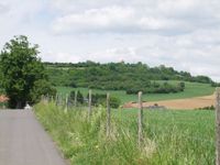 Blick Richtung Saargau - Hosteberg