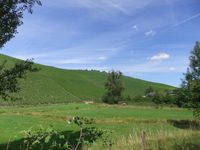 03 Blick auf die Weinlage Scharzhofberg