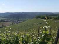 06 Blick auf den Galgenberg (Bildmitte)