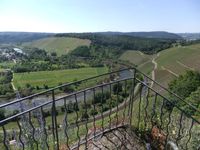 10 Aussichtspunkt mit fantastischem Blick auf die Saar, die sich durch das Naturschutzgebiet Wiltinger Saarbogen schl&auml;ngelt.