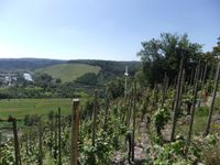 11 Galgenbergkreuz, im Hintergrund die Ortschaft Kanzem mit der Weinlage Kanzemer Altenberg