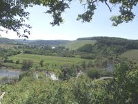 13 Blick vom Galgenbergsteig auf das Naturschutzgebiet Wiltinger Saarbogen